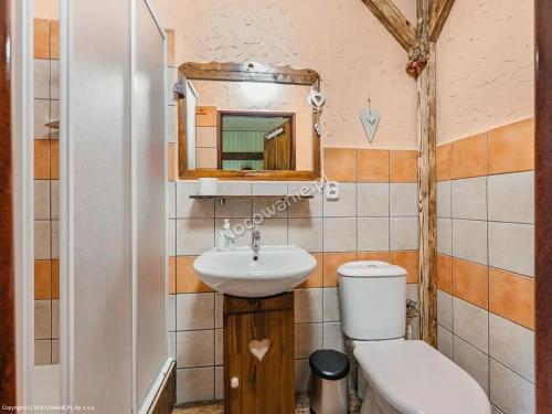 利普托斯基米库拉斯伊甸园旅馆的一间带卫生间、水槽和镜子的浴室