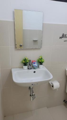 General TriasCamilyn Home Stay的浴室水槽,上面有镜子和两株植物