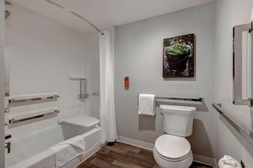 圣路易斯-奥比斯保TownePlace Suites by Marriott San Luis Obispo的白色的浴室设有卫生间和淋浴。