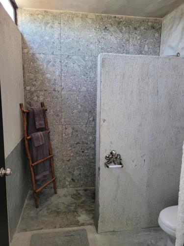 ChuburnáPuerto del Cielo的浴室设有梯子淋浴和卫生间