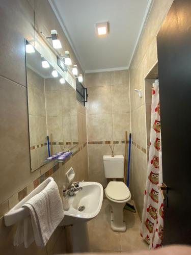 坦迪尔Belgrano 360的一间带水槽、卫生间和镜子的浴室