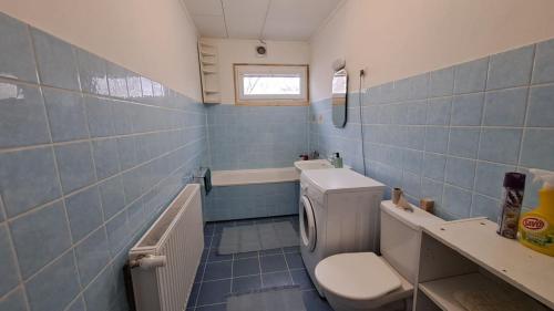 泰尔奇Rekreační dům u rybníka Roštýn- Telč的蓝色瓷砖浴室设有卫生间和水槽