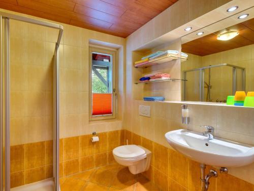 施瓦岑贝格魏斯弗洛格度假公寓的浴室配有卫生间、盥洗盆和淋浴。