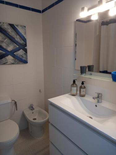 科拉雷侯Las Islas Apartment的白色的浴室设有卫生间和水槽。