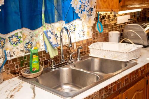 Arnos ValePRI Guest House的厨房水槽旁设有碗碟干燥架