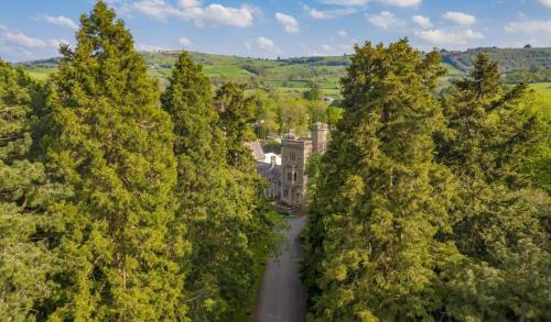 Church StokeMellington Hall Country House Hotel的树间道路的顶部景观