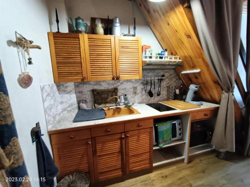 AndonGÎTE DE CHARME , F2 Duplex 37 m2 , SUD , à THORENC - ANDON 06的一个带木制橱柜和水槽的厨房
