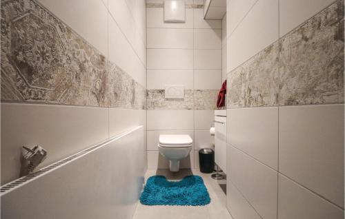 巴德伊舍Cozy Home In Bad Ischl With Wifi的一间带卫生间和蓝色地毯的浴室