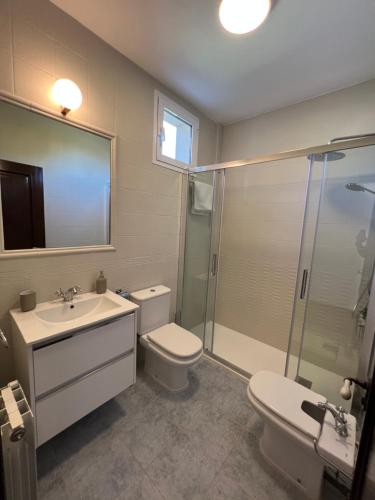 巴基奥Haizea的浴室配有卫生间、盥洗盆和淋浴。