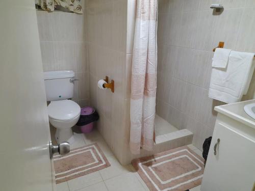 RibishiCays Inn Apartments的带淋浴、卫生间和盥洗盆的浴室