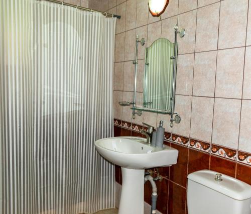 NemţişorComplex Zimbru的一间带水槽、卫生间和镜子的浴室