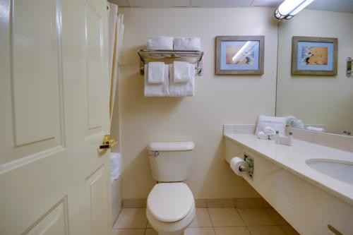 大洋城Grand Hotel Ocean City Oceanfront的一间带卫生间、水槽和镜子的浴室