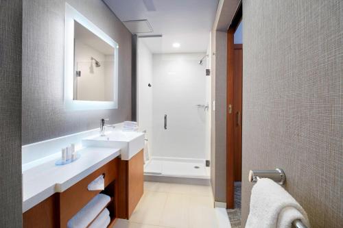 New Germany代顿比弗克里克万豪春季山丘套房酒店的一间带水槽、镜子和淋浴的浴室