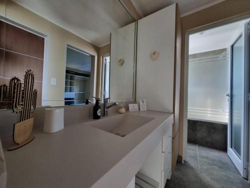 坦迪尔La Casa de los Vientos的一间带大水槽和大镜子的浴室