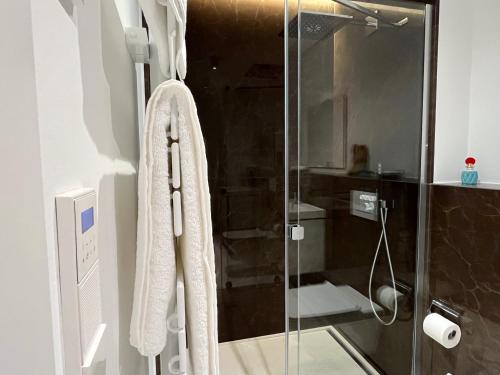 卢森堡The Executive Residence - Kirchberg的带淋浴的浴室和玻璃门