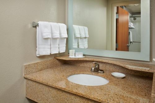 巴吞鲁日巴顿鲁日北/机场万豪春季山丘套房酒店的浴室配有盥洗盆、镜子和毛巾