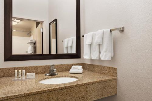斯特灵春山杜勒斯机场套房酒店的一间带水槽和镜子的浴室