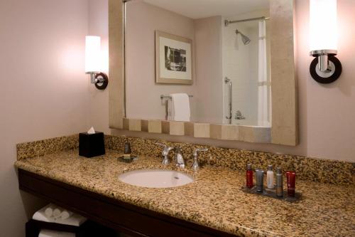 纽波特纽斯纽波特纽斯市中心万豪酒店的一间带水槽和大镜子的浴室