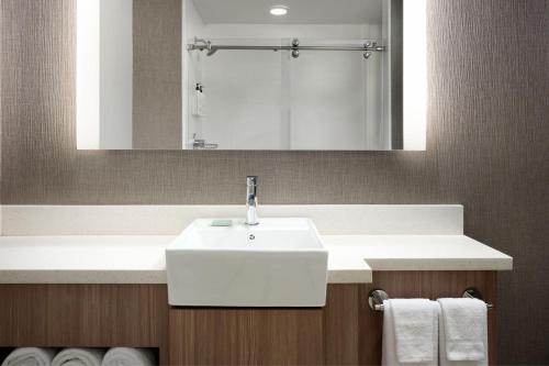 布卢明顿Spring Hill Suites Minneapolis-St. Paul Airport/Mall Of America的浴室配有盥洗盆、镜子和毛巾