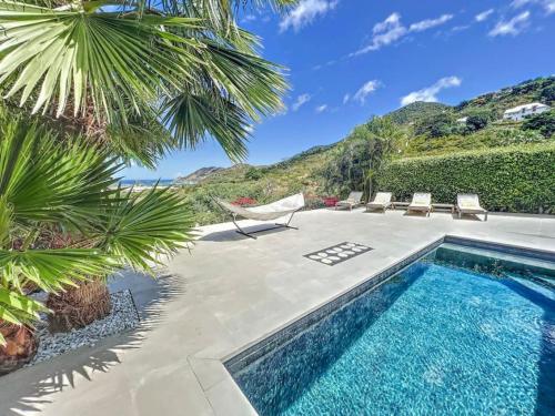 圣马丁岛Villa les Yuccas, private pool, 5 min from Grand Case的庭院内的游泳池,带椅子和树木