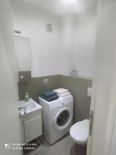 ModričaHELA Lux apartment的一间带洗衣机和水槽的浴室