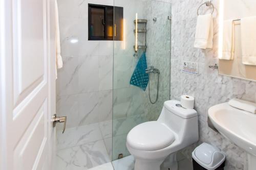 圣多明各Hotel Señorial的一间带卫生间和玻璃淋浴间的浴室