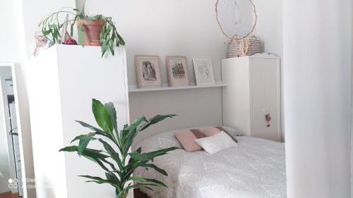 圣博伊德约布雷格Studio DORIA的一间卧室配有一张床和盆栽植物