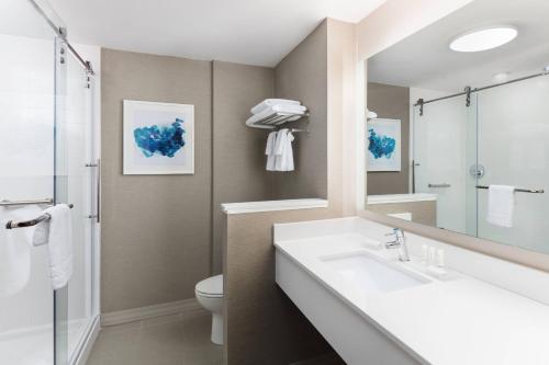 大洋城大洋城费尔菲尔德客栈的一间带水槽、卫生间和镜子的浴室