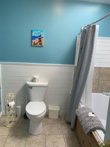 谢尔本维斯波灵韦弗斯小屋假日公园的一间带卫生间和蓝色墙壁的浴室