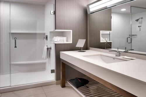 莱赫利希感恩角万怡酒店的一间带水槽和淋浴的浴室