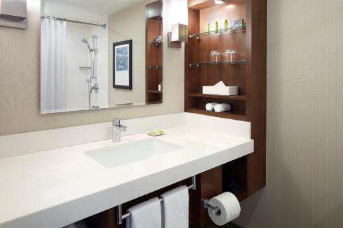 金斯顿三角洲金斯顿海滨万豪酒店的一间带水槽和镜子的浴室
