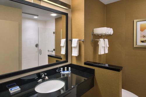 纽卡斯尔纽卡斯尔万豪费尔菲尔德套房酒店的一间带水槽和镜子的浴室