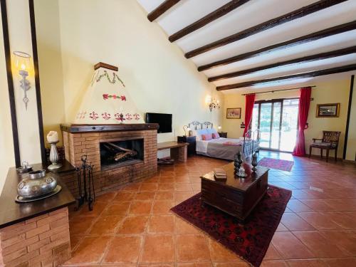 巴勒莫Villa Inserra Deluxe的客厅设有壁炉和沙发。