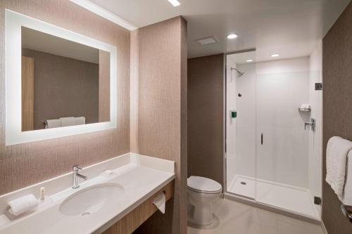 格林维尔Residence Inn by Marriott Greenville Downtown的一间带水槽、卫生间和镜子的浴室