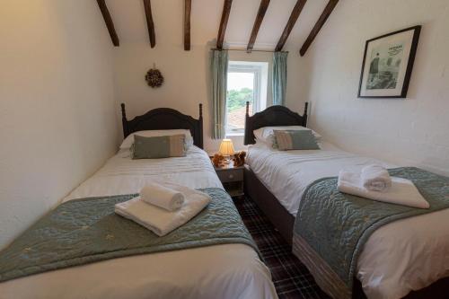 赫尔姆斯利Riccal Dale Cottage的带窗户的客房内设有两张单人床。