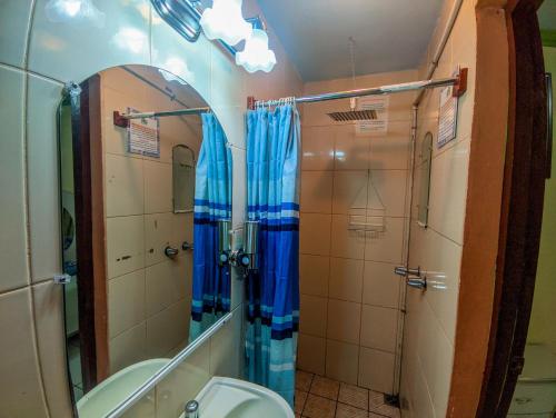 马那瓜Hotel Fuente de Paz Managua的带淋浴、卫生间和镜子的浴室