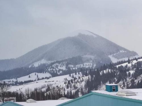 山景或在度假屋看到的山景