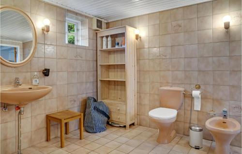 Øster UlslevAwesome Home In ster Ulslev With Kitchen的一间带卫生间、水槽和镜子的浴室