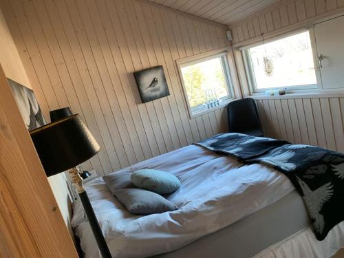 莫斯费德斯拜尔Paradise near Reykjavik w. Sauna - Northern Lights的一间卧室配有一张带两个枕头的床