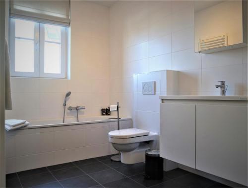 卡德赞德-班得Caramia, Duinhof, Romantic apartment by the sea的白色的浴室设有卫生间和水槽。
