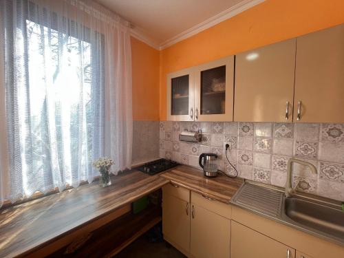 第比利斯Tiflisi Hostel的厨房配有柜台、水槽和窗户