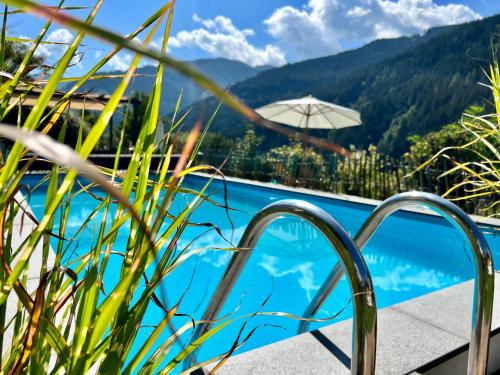萨尔巴赫ALM SEASONS Premium Chalet & Studios的山景游泳池