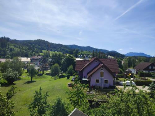 米特尔巴赫Nur 3 Min zu Skilift & 5Min zum See的村里绿色草坪上的一个小房子
