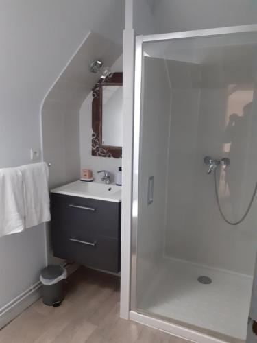 希索LES LAVANDES的带淋浴、盥洗盆和镜子的浴室