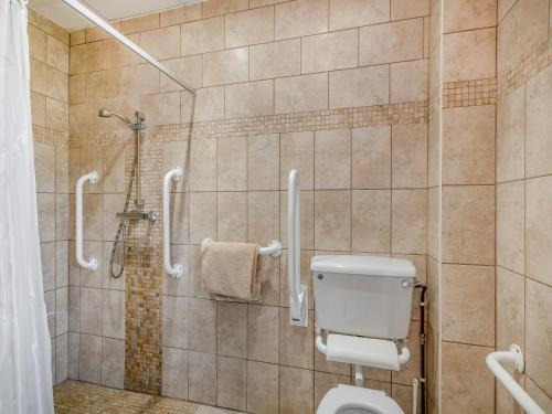 Horsford猫头鹰谷仓乡村别墅的一间带卫生间和淋浴的浴室
