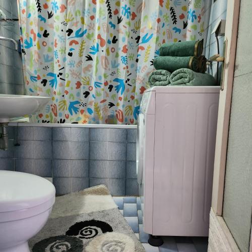 普里什蒂纳Shpetim's Apartment的一间带卫生间和淋浴帘的浴室