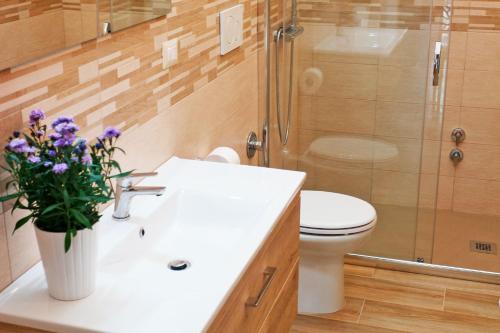 奥里亚Suite Chiara的浴室配有卫生间、盥洗盆和淋浴。