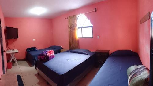 San Lucas TolimánHotel y Restaurante Tzutujil的宿舍间的两张床,设有红色的墙壁和窗户。