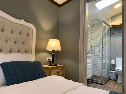 伊斯坦布尔洛卡套房酒店的一间卧室设有一张床和一个玻璃淋浴间