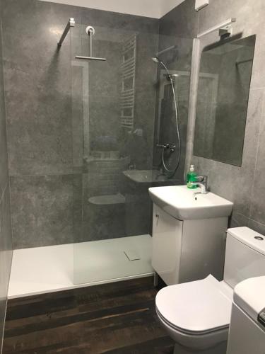 托伦Kawalerka na Targowej的带淋浴、卫生间和盥洗盆的浴室